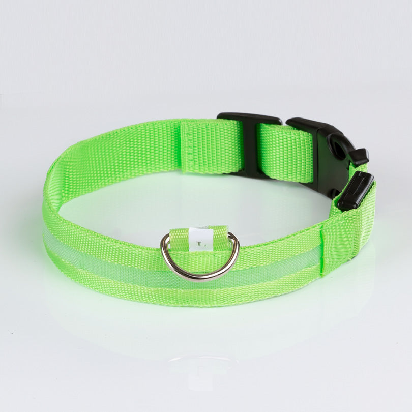 Grünes, strapazierfähiges Halsband von Doctor Bark mit reflektierenden Streifen und stabilem Verschluss für Hunde.