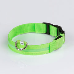 Leuchtend grünes Doctor Bark Hundehalsband aus Nylon mit verstellbarer Schnalle und reflektierenden Streifen.