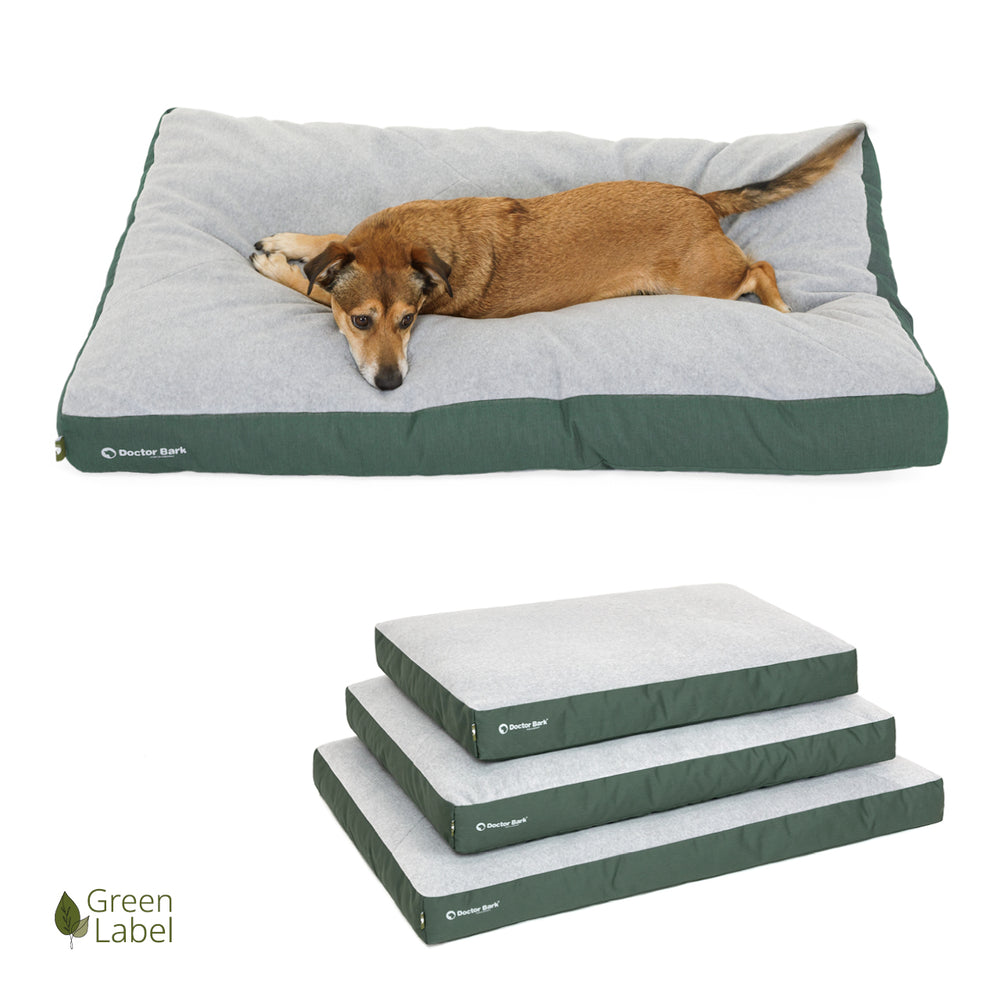 Hunde-Bett in grau und grün mit einem entspannten Hund oben und zwei zusätzlichen Matratzen in unterschiedlichen Größen.