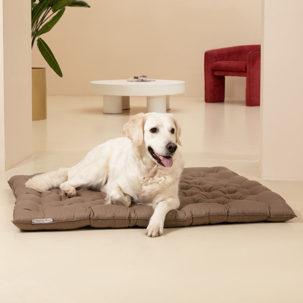 Ein Golden Retriever entspannt auf einer beigen Hundematte in einem gemütlichen Raum mit rotem Sessel.