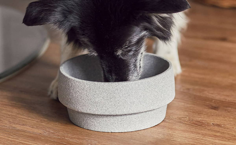 Hund schnüffelt in grauem Hundenapf aus Granicium auf Holzboden. Modernes Design für stilvolles Futtergenießen.