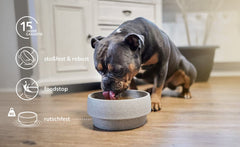 Hund frisst aus grauem, rutschfestem Granicium Hundenapf mit 15 Jahren Garantie und Robustheitssymbolen.