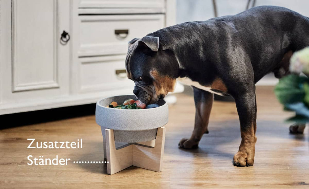 Hund frisst aus erhöhtem Granicium-Napf in modernem Holzständer, schwarzer Hund mit braunen Abzeichen im Hintergrund.
