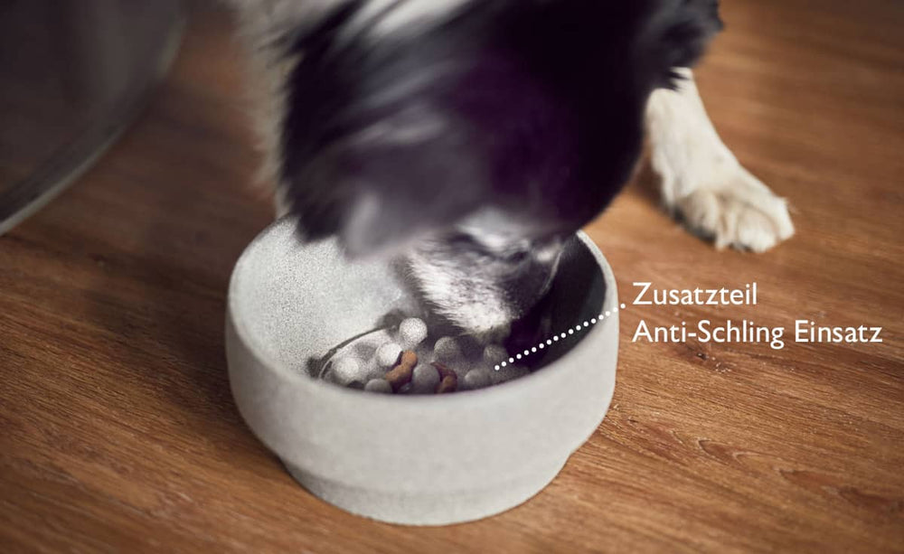 Hund schaut in grauen Granicium Hundenapf mit Anti-Schling Einsatz auf Holzuntergrund.