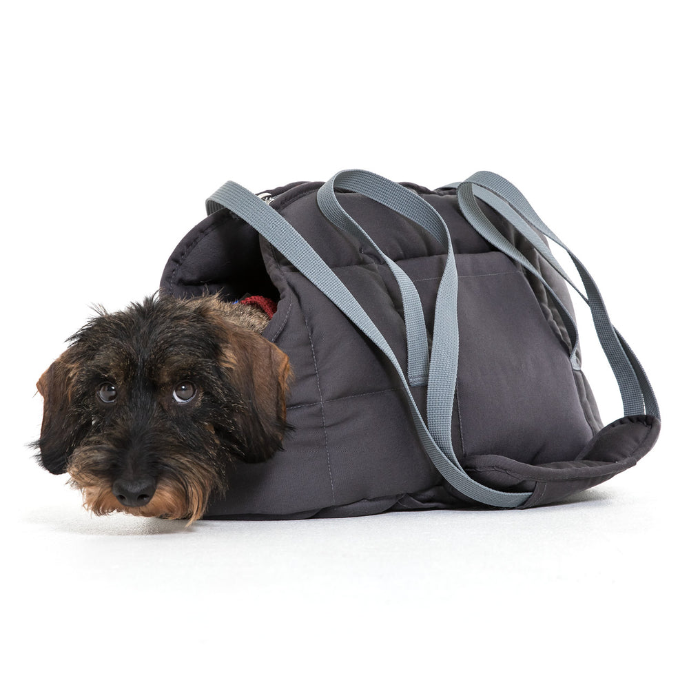 Kleine Hündin blickt neugierig aus einer grauen, weichen Hundetasche mit schmalen Tragegurten.