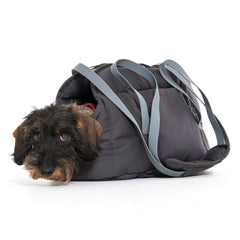 Kleine Hündin blickt neugierig aus einer grauen, weichen Hundetasche mit schmalen Tragegurten.