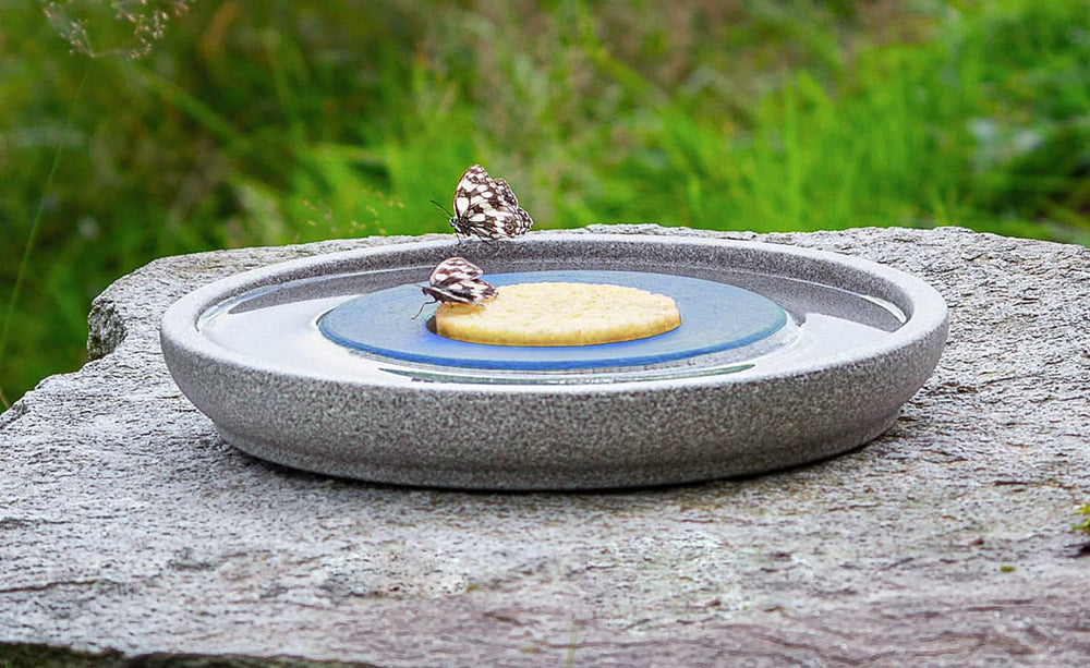 "Insektenstation Granicium mit runder grauer Schale, blauen Teller und gelber Keksplatte auf grauem Felsen."