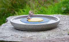 "Insektenstation Granicium mit runder grauer Schale, blauen Teller und gelber Keksplatte auf grauem Felsen."