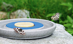 "Insektenstation Granicium: Grauer Stein mit Nahrung und zwei Schmetterlingen im Vordergrund."
