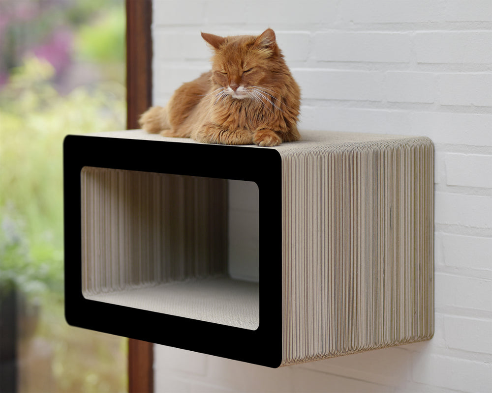 schwarz matt (013x) - Bild 1