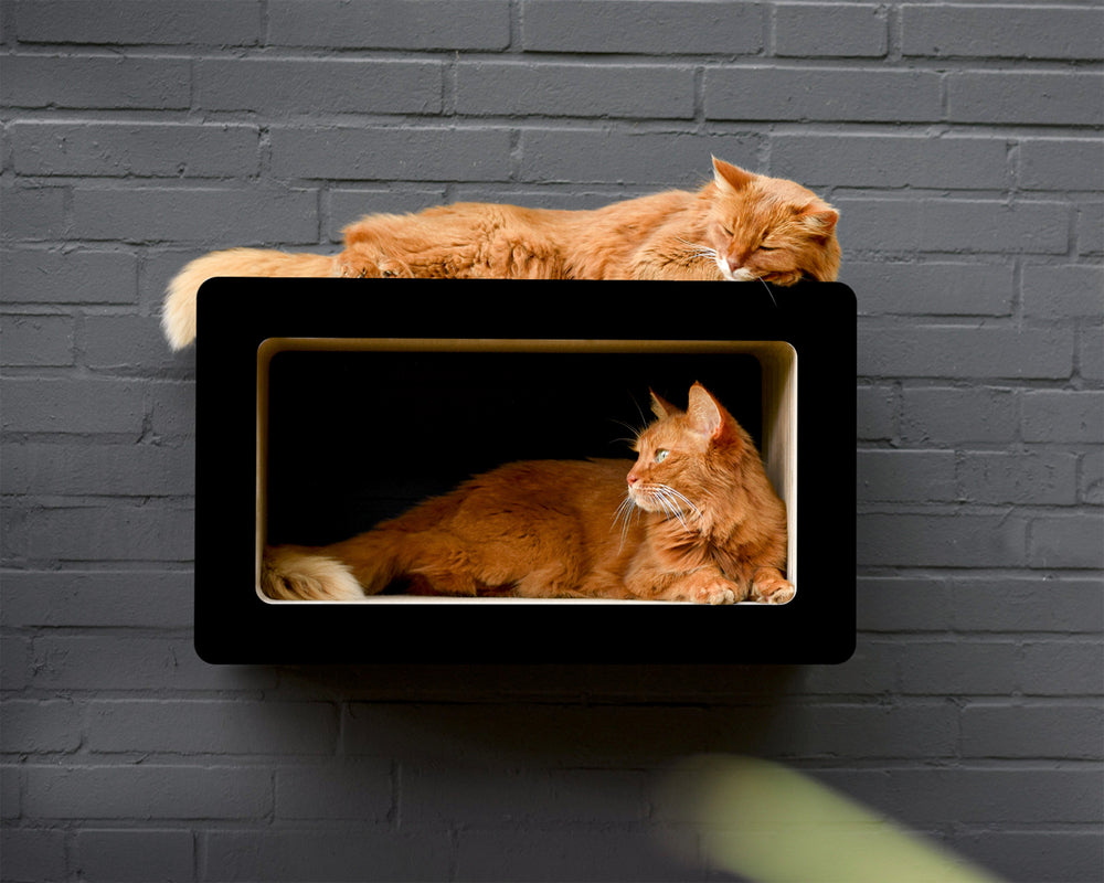 schwarz matt (013x) - Bild 2