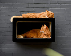 schwarz matt (013x) - Bild 2