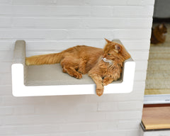 weiß,  gestrichen (000x) - Bild 2