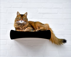 schwarz matt (013x) - Bild 1