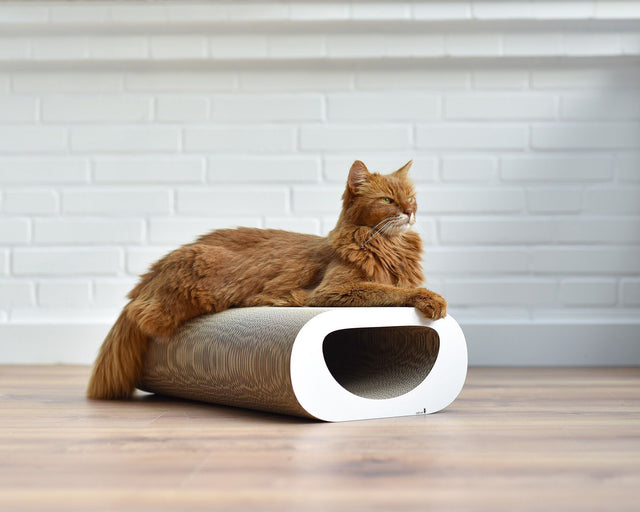 LE TUNNEL Kratzmöbel für Katzen