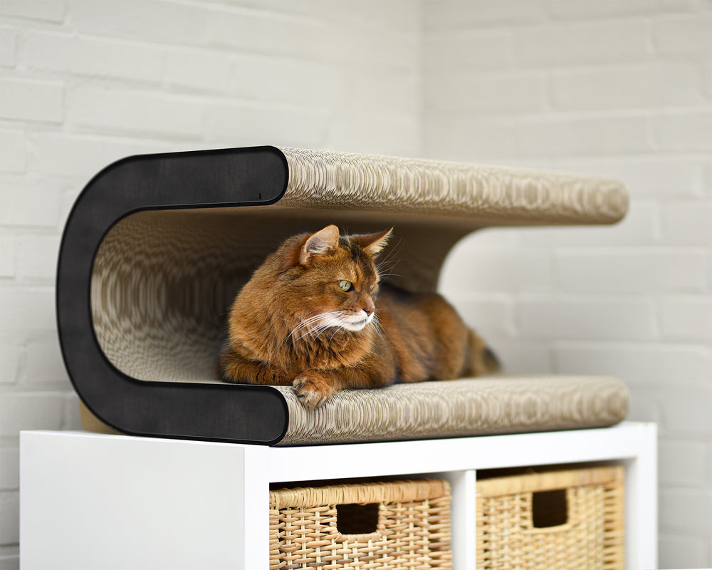 schwarz, meliert (013) - Bild 1