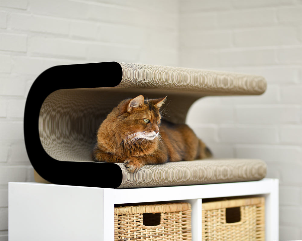 schwarz matt (013x) - Bild 1