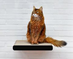 schwarz matt (013x) - Bild 1