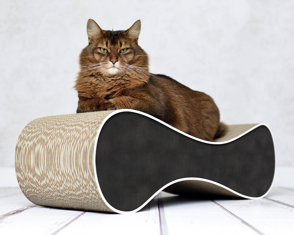 schwarz, weißer Rand (000g) - Bild 1