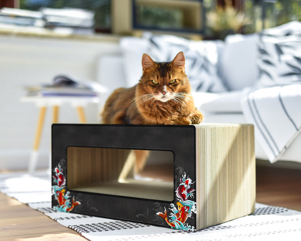 schwarz, Koi (035) - Bild 3