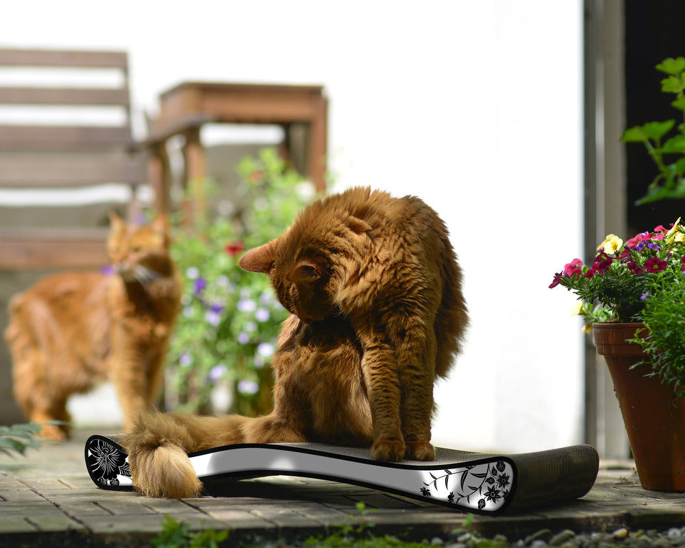 weiß, schwarze Blumen (000c) - Bild 1