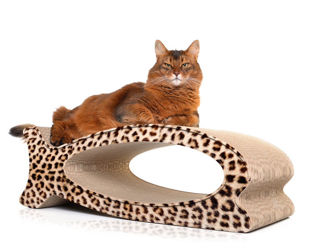 gepard (052) - Bild 2