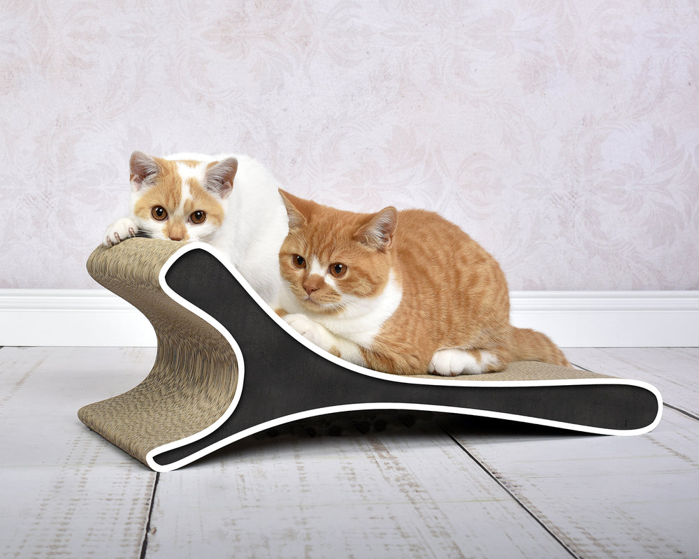 schwarz, weißer Rand (000g) - Bild 3