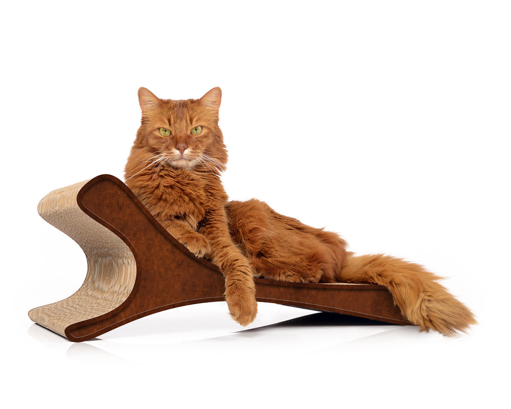 braun antik (002b) - Bild 3