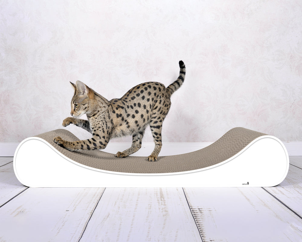 weiß mit Rand (000) - Bild 1