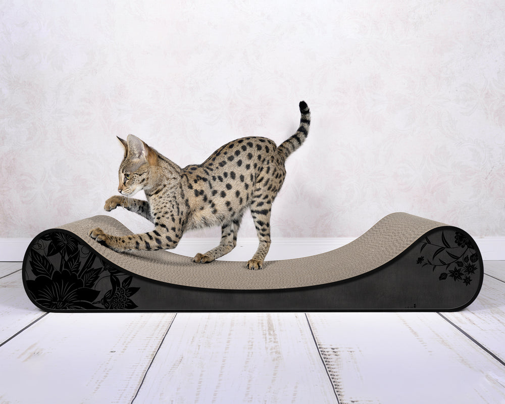 schwarz, schwarze Blumen (013b) - Bild 1