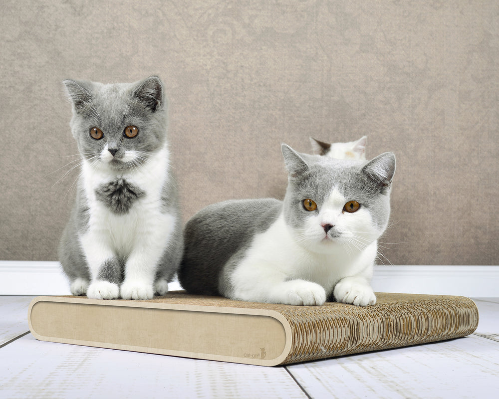 hellbeige (005f) - Bild 3