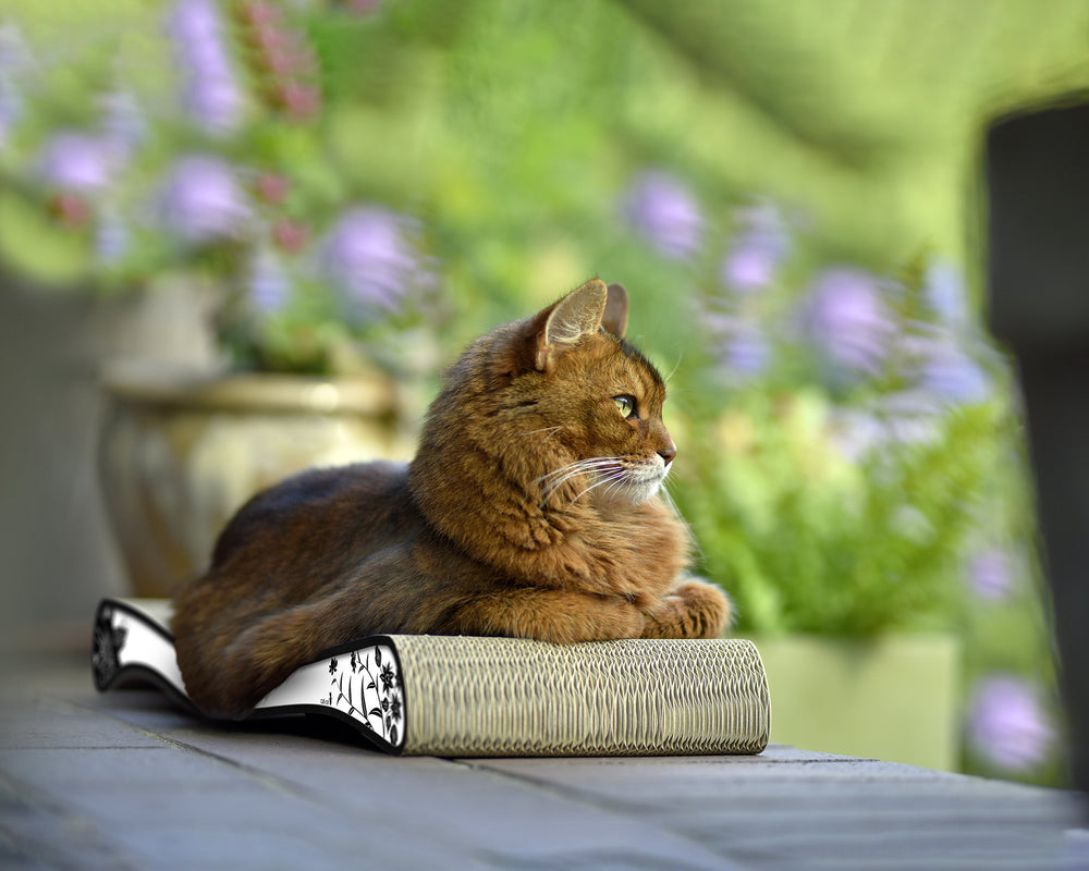 weiß, schwarze Blumen (000c) - Bild 2