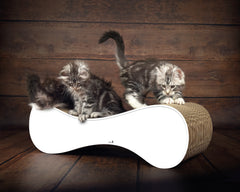 weiß mit Rand (000) - Bild 2