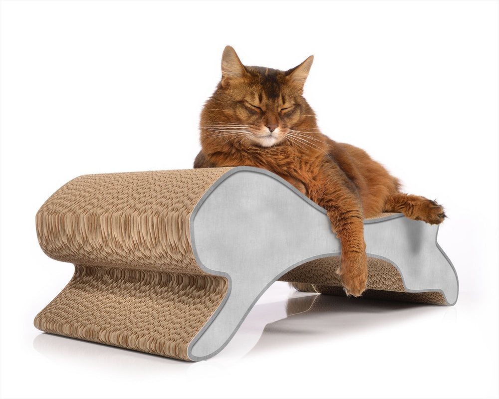 Moderne Katzenliege mit geflochtenem Material und grauem Rahmen, darauf schläft eine braun-orangefarbene Katze.