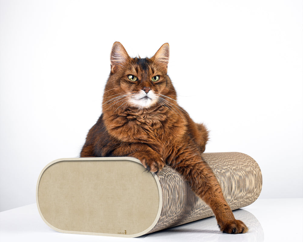 hellbeige (005f) - Bild 2