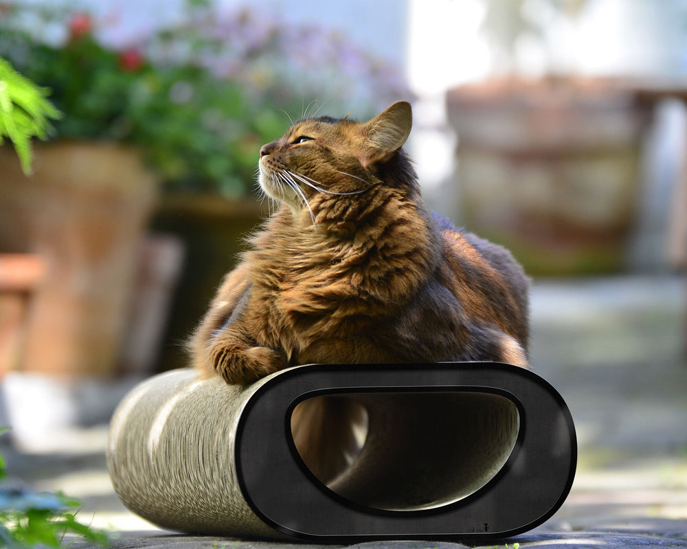 schwarz, meliert (013) - Bild 1