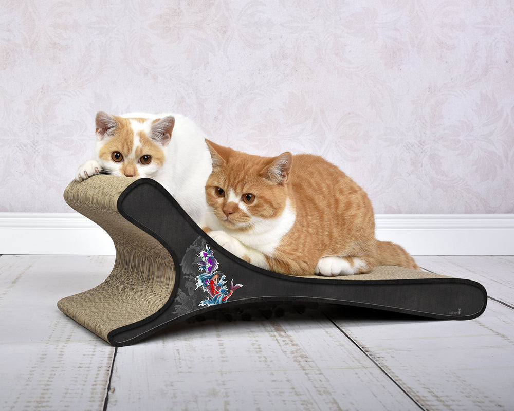 schwarz, Koi (035) - Bild 1