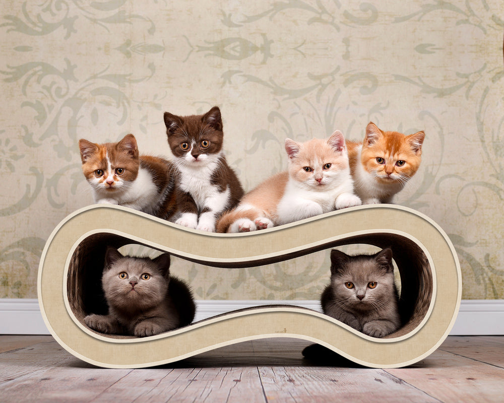 hellbeige (005f) - Bild 2