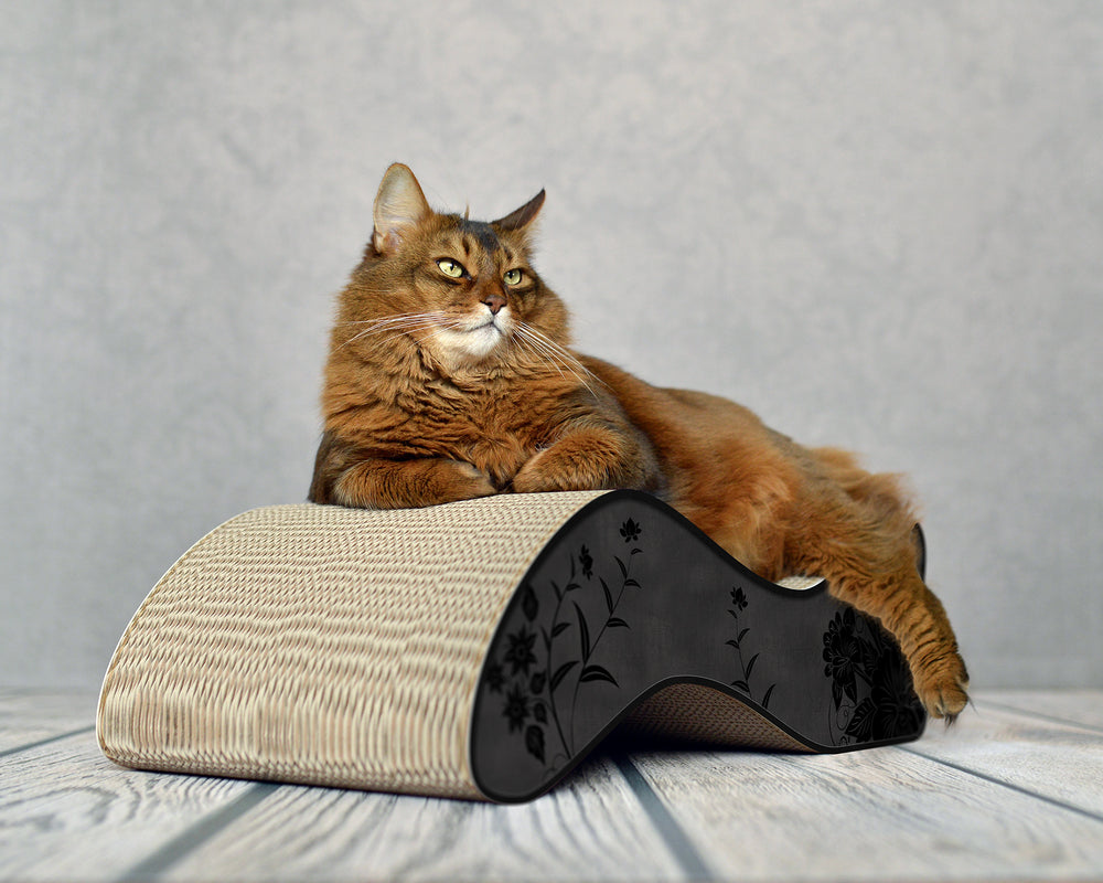 schwarz, schwarze Blumen (013b) - Bild 1