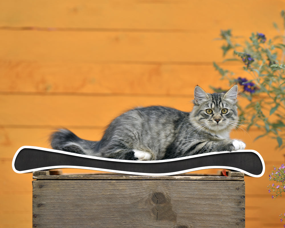 schwarz, weißer Rand (000g) - Bild 1