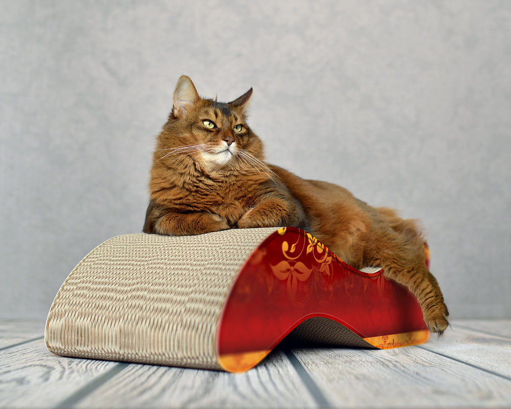 élégance (030) - Bild 1