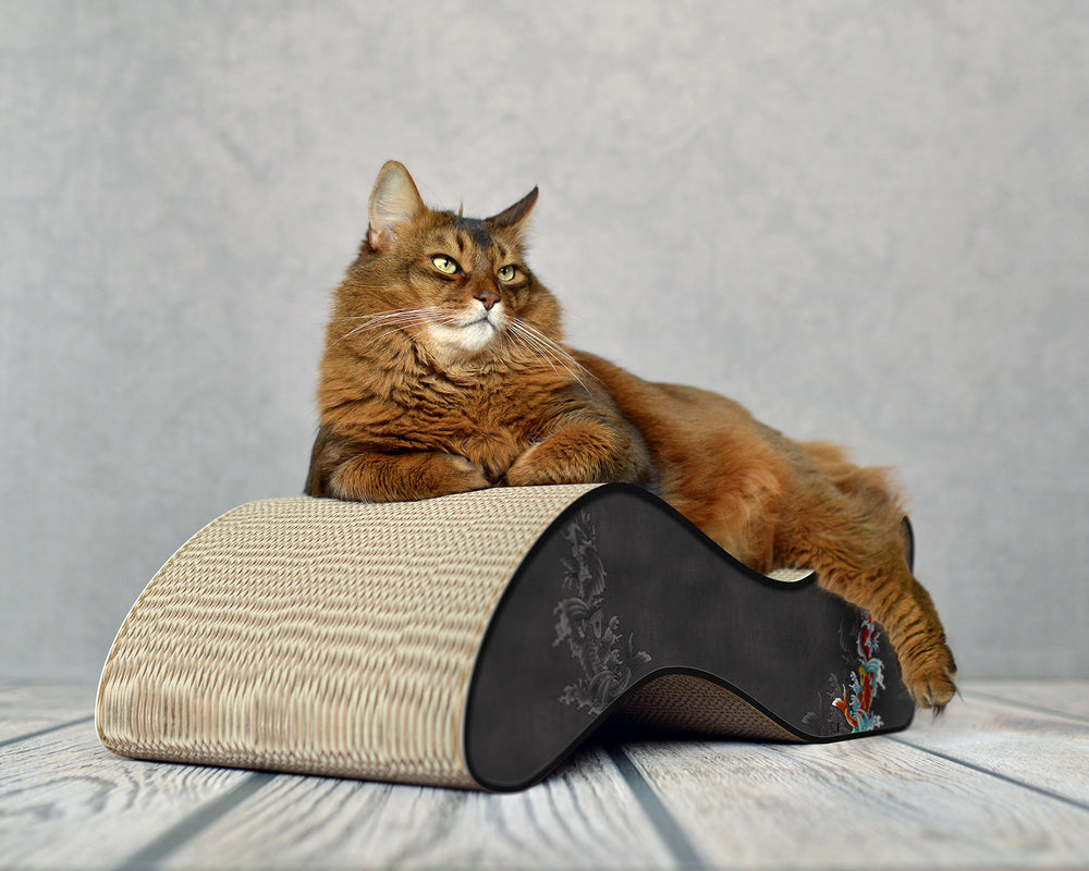 schwarz, Koi (035) - Bild 1