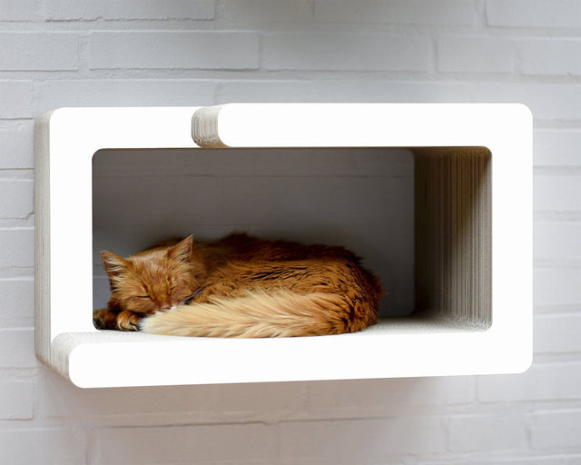 KIO HIDARI Design Wandkratzmöbel