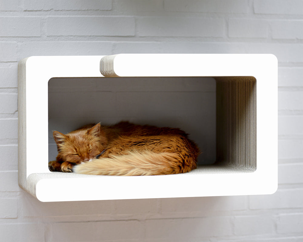 weiß,  gestrichen (000x) - Bild 1