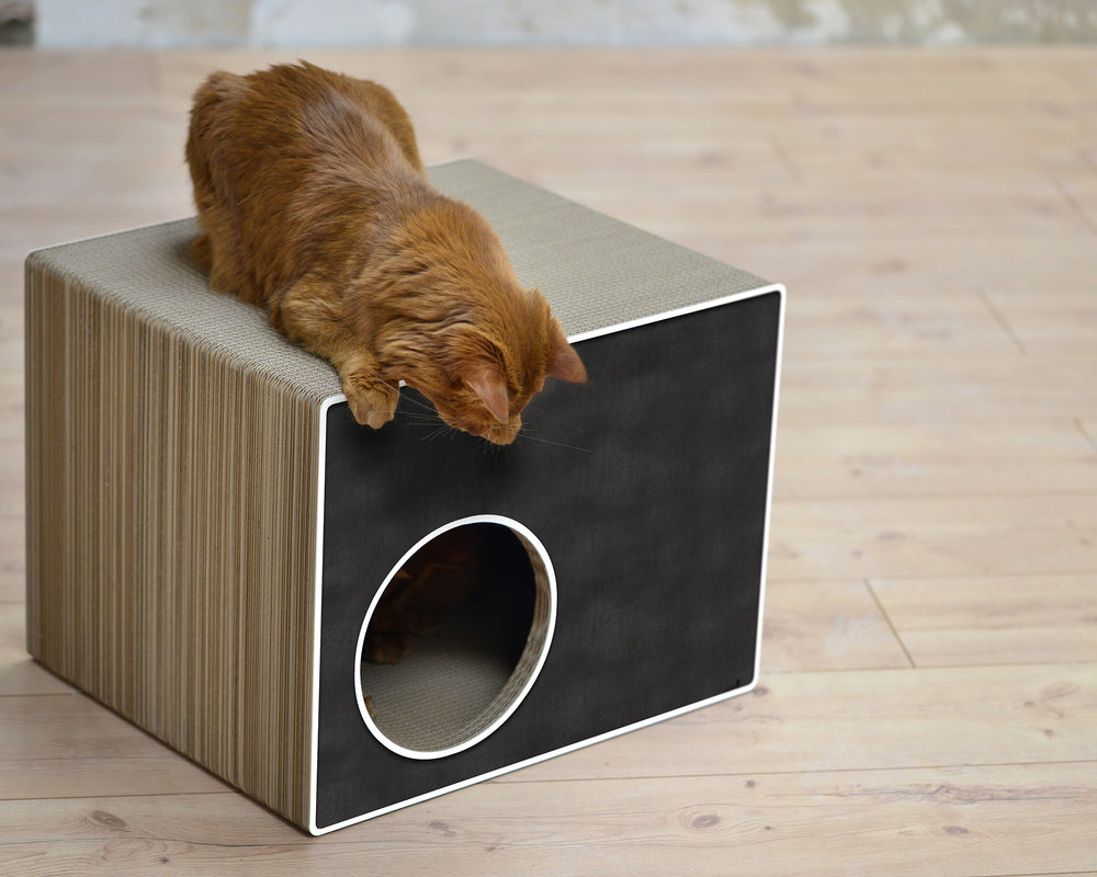 schwarz, weißer Rand (000g) - Bild 4