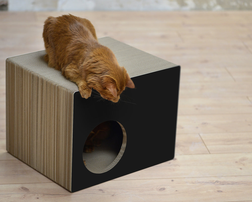 schwarz matt (013x) - Bild 4