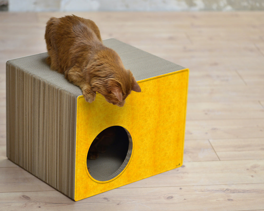 dunkelgelb (004e) - Bild 3