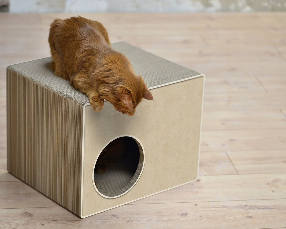 hellbeige (005f) - Bild 3