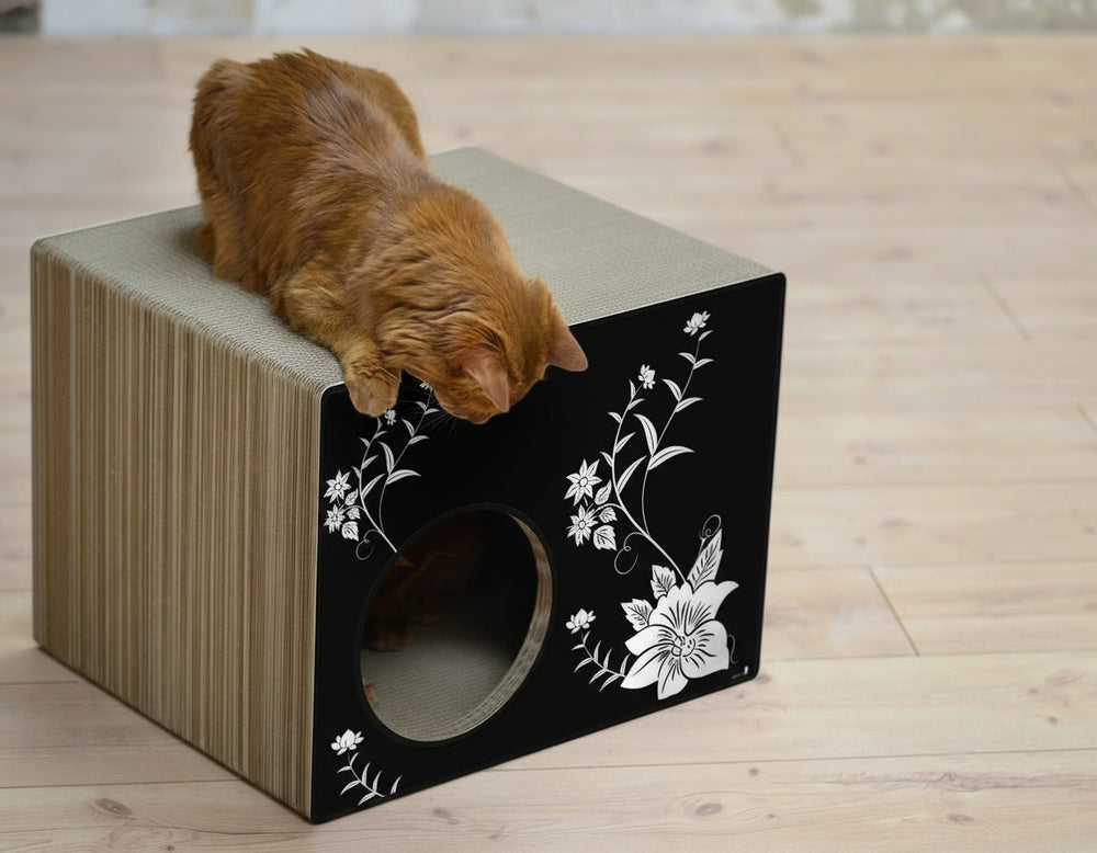 Moderne quadratische Katzenhöhle mit schwarzem floralem Design und einer orangefarbenen Katze, die darauf sitzt.