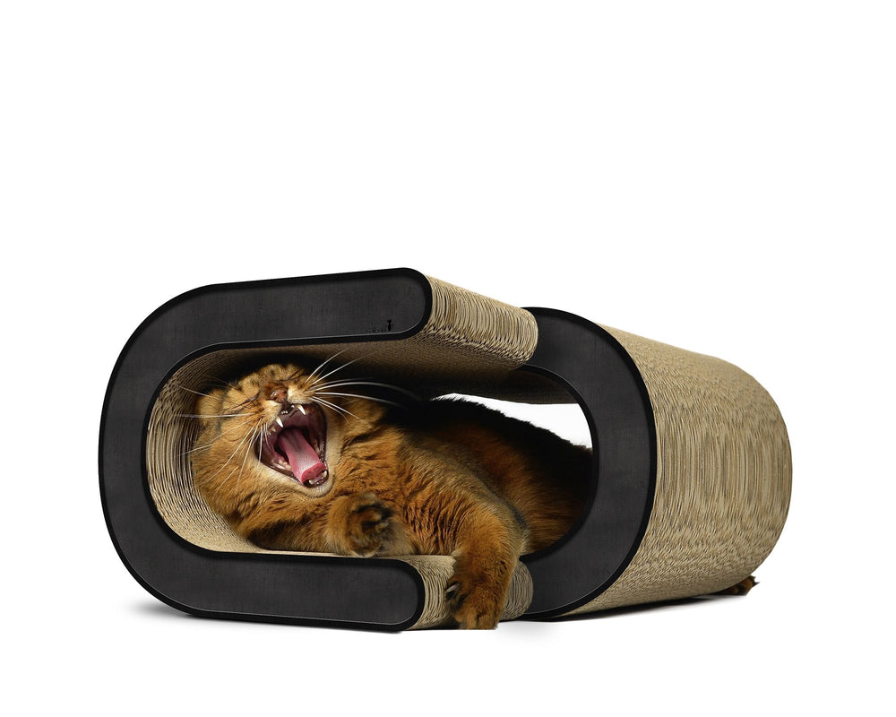 Schlafende Katze in ovaler Katzenhöhle mit Spielzeugstruktur, gemütlich und entspannt, bereit für einen Nickerchen.